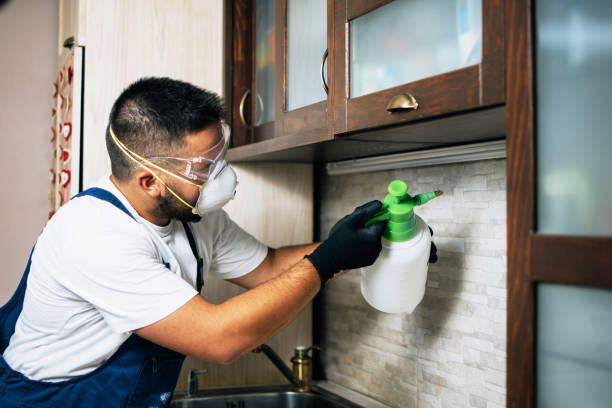 Best Pest Control for Restaurants  in Greenfield, MO