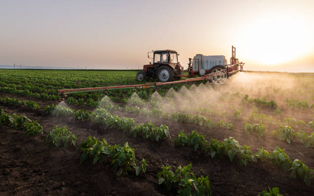 Best Pest Removal Services  in Greenfield, MO