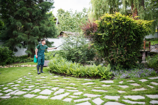 Best Residential Pest Control  in Greenfield, MO