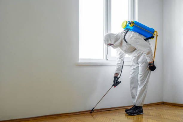 Best Pest Removal Services  in Greenfield, MO