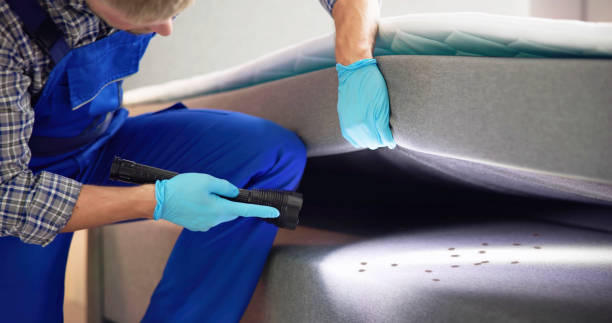 Best Wasp Removal Services  in Greenfield, MO