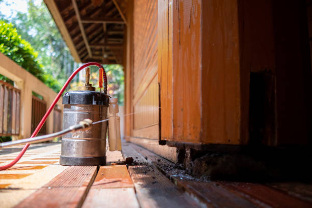 Best Cockroach Control Services  in Greenfield, MO