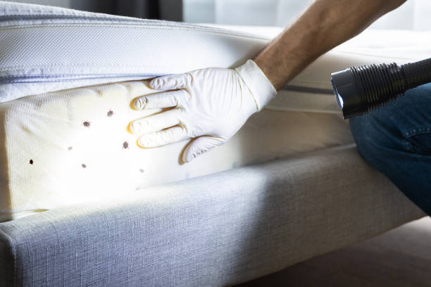 Best Pest Control Near Me  in Greenfield, MO