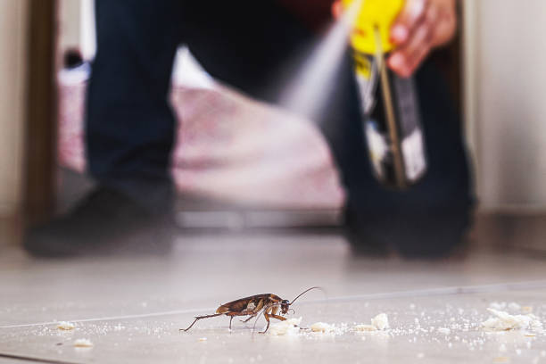 Trusted Greenfield, MO Pest Control Experts