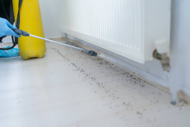 Best Affordable Pest Control Services  in Greenfield, MO