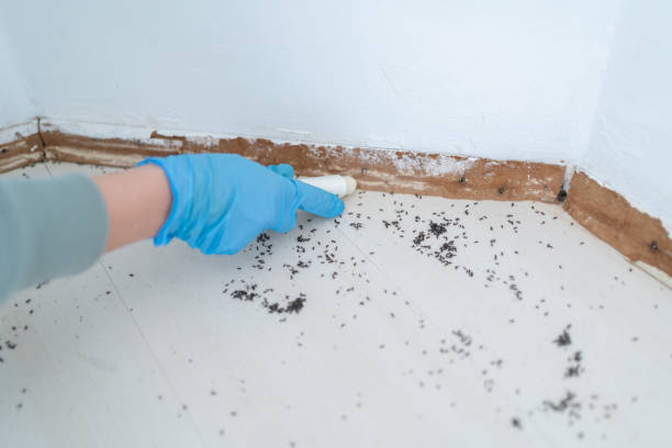 Best Emergency Pest Control  in Greenfield, MO